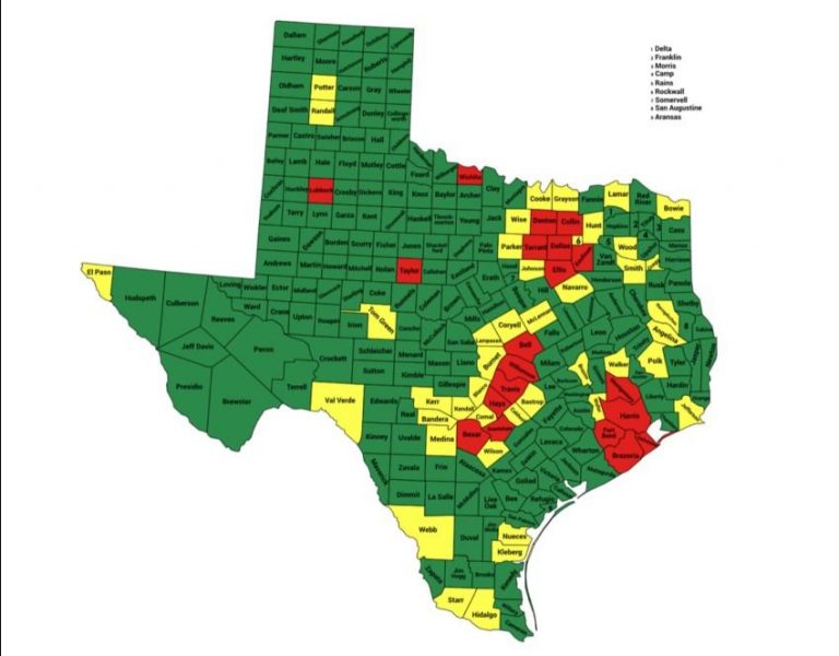 Texas Secretary of State’s Office Announces FULL FORENSIC AUDIT on 4 Texas Counties