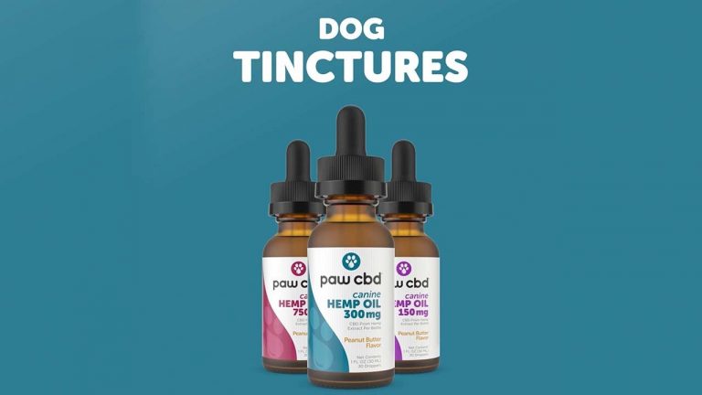 Paw CBD Oil Tinctures for Dogs