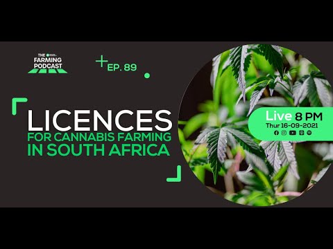 EPISODE 89: LICENCES FOR CANNABIS FARMING IN SOUTH AFRICA