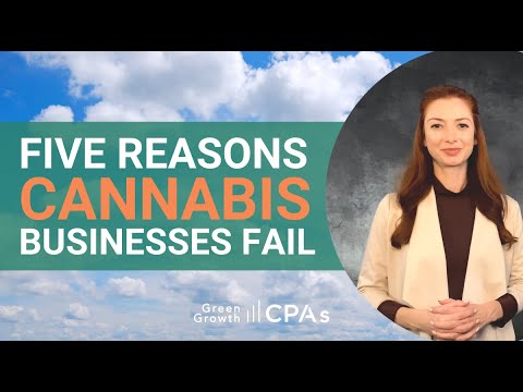 Top Five Reasons Cannabis Businesses Fail (And How to Avoid Them)