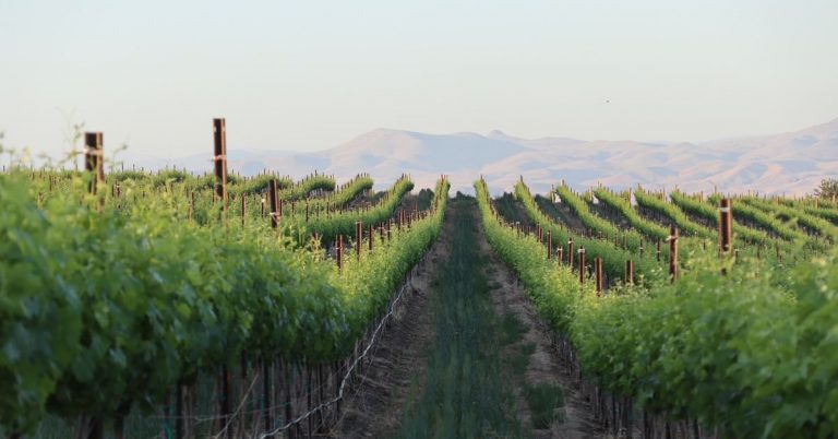 Eater’s Guide to the Best Food and Wine in Idaho’s Snake River Valley
