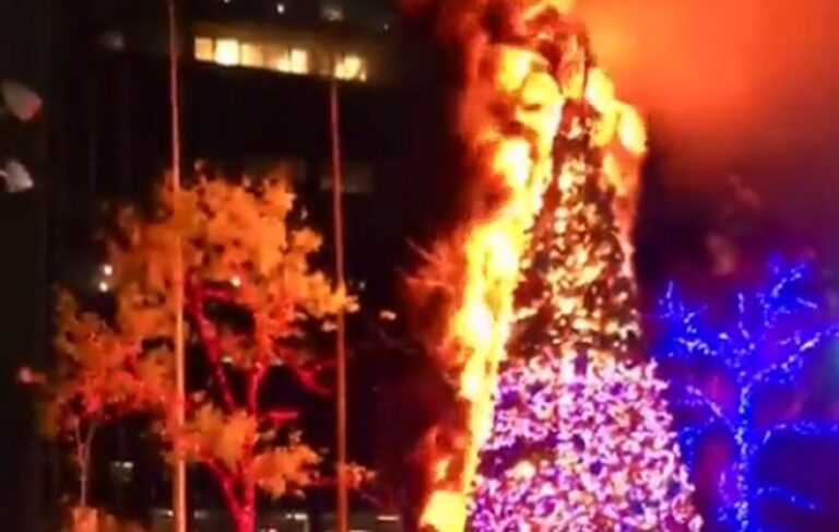 Fox News Christmas Tree Lit on Fire, Suspect in Custody (VIDEOS)