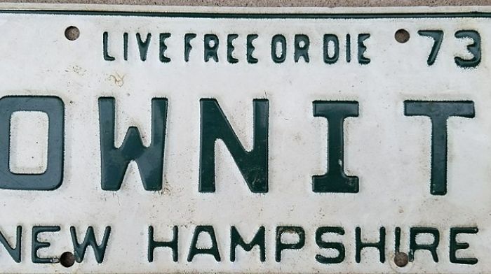 CATO Freedom Report: New Hampshire Is The Freest State, New York Is The Least Free