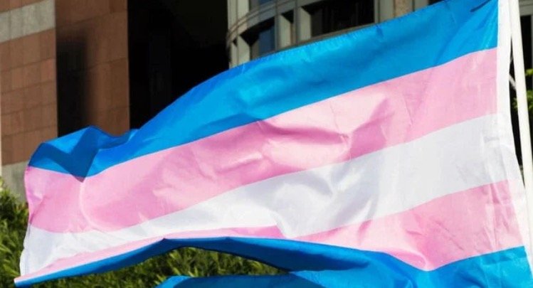 A Beautiful, Intelligent Declaration Against Transgender Tyranny