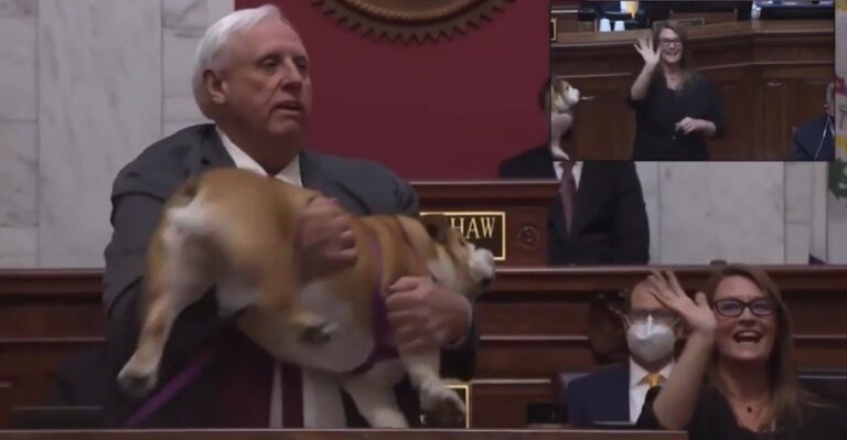West Virginia Governor Tells Bette Midler to Kiss His Bulldog’s “Hiney” (VIDEO)