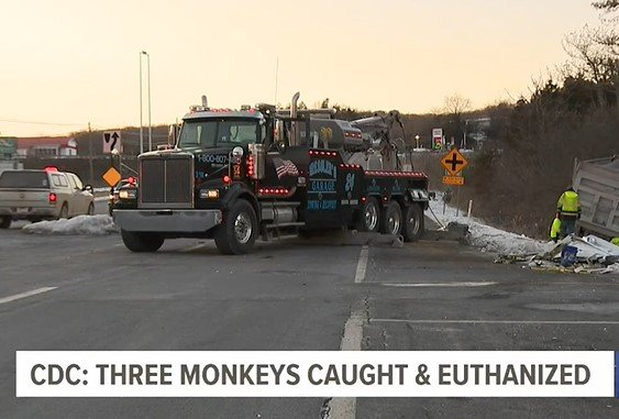 CDC Releases Statement Following Pennsylvania Crash Involving 100 Test Monkeys