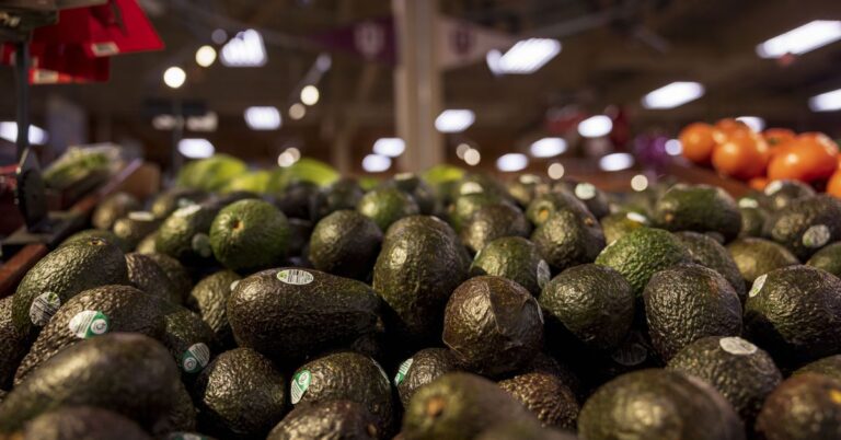 The U.S. Resumes Avocado Imports From Mexico