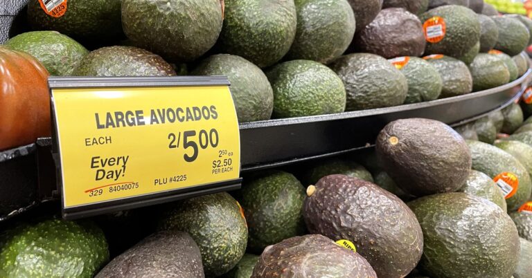The Avocado Import Suspension Means More Expensive Avocados