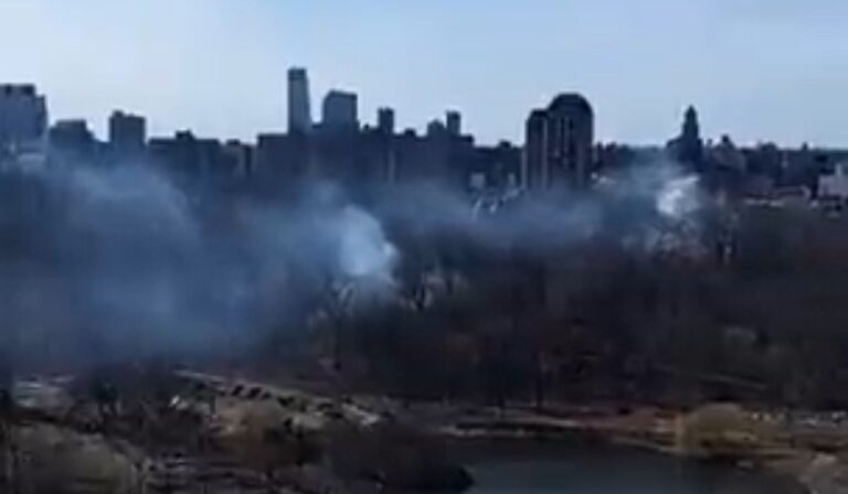 10 Fires Break Out in Central Park in Act of Arson: Police