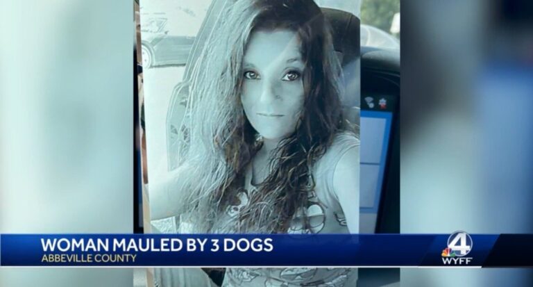 HORROR: South Carolina Mom has Both Arms Amputated After She’s Mauled by Pit Bulls