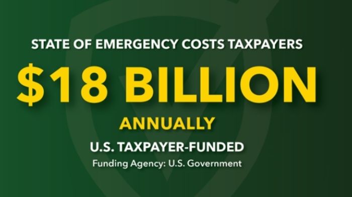 Covid-19 State of Emergency Price Tag: $18 Billion a Year