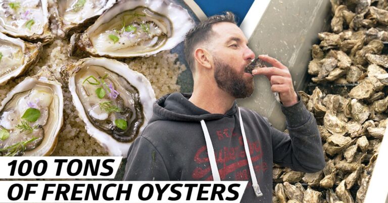 How 100 Tons of Oysters Are Farmed Off the Coast of France