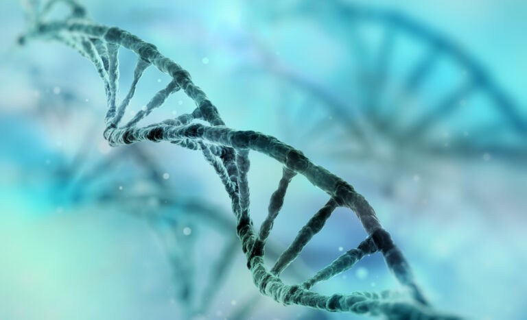Scientists sequence the most complete human genome yet
