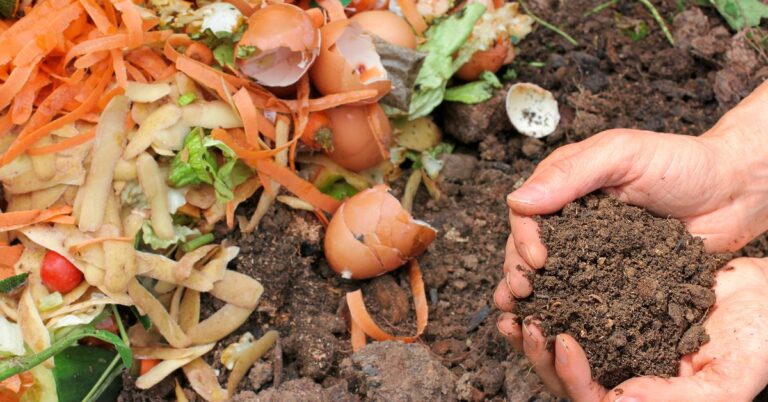 How Do We Get People to Compost?
