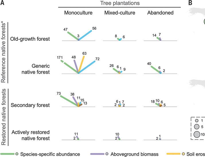 The biodiversity and ecosystem service contributions and trade-offs of forest restoration approaches
