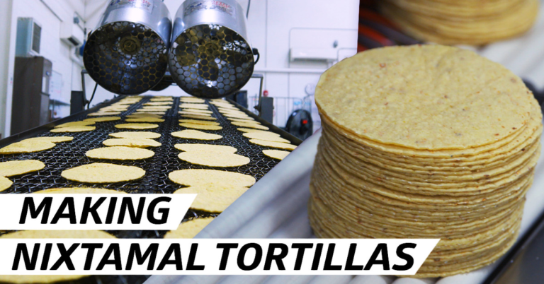 How Vista Hermosa Makes 100,000 Corn Tortillas a Day
