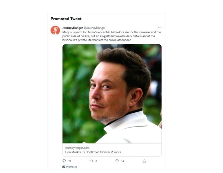 Twitter is Running Promoted Posts Attacking Owner Elon Musk