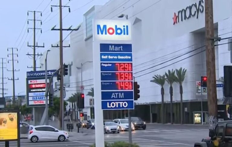9th Straight Day of All-Time Record High Gas Prices! Price at Pump Hits $4.56 per Gallon — Fake News Media Silent!