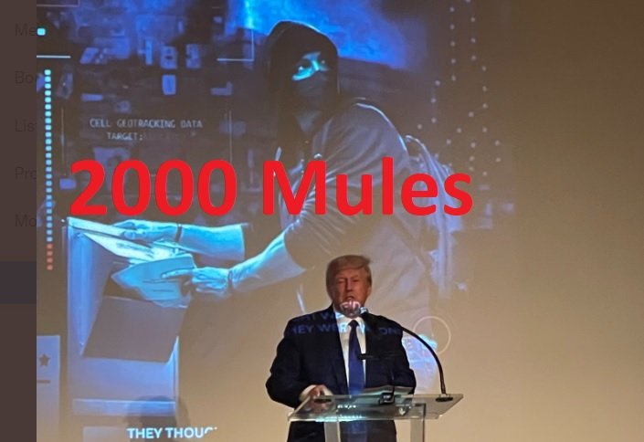 HUNDREDS of Patriots Attend Screening “2000 Mules” at President Trump’s Mar-a-Lago Home and Resort — Crowd Left Stunned as Proof Revealed on Stolen Election — Stacey Abrams Better Find New Work