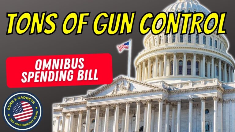 BEWARE! Tons Of Gun Control In Omnibus Spending Bill