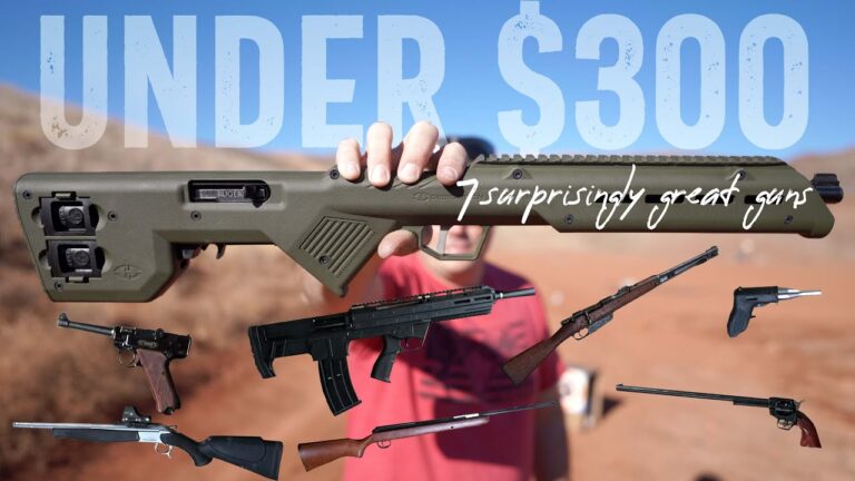 7 Surprisingly Great Guns Under $300