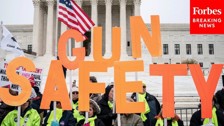 'Lock Up Your Guns': VA State Senator Demands Stricter Firearm Storage Legislation